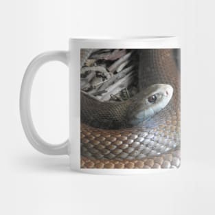 Coastal Taipan Mug